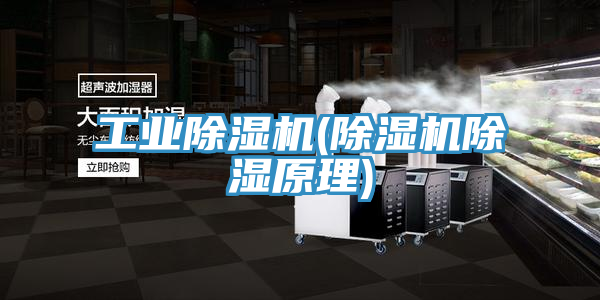 工業草莓视频污污污污(草莓视频污污污污除濕原理)