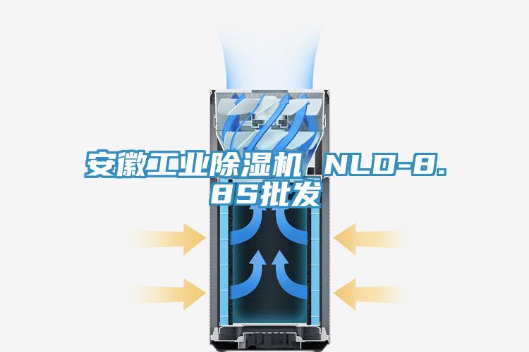 安徽工業草莓视频污污污污 NLD-8.8S批發