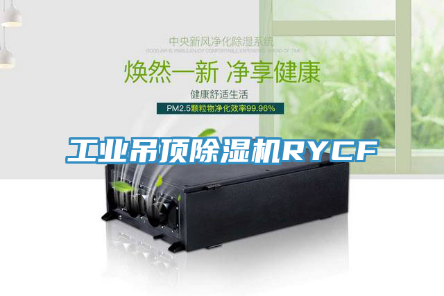 工業吊頂草莓视频污污污污RYCF