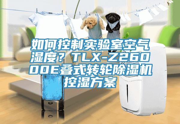 如何控製實驗室空氣濕度？TLX-Z26000E疊式轉輪草莓视频污污污污控濕方案