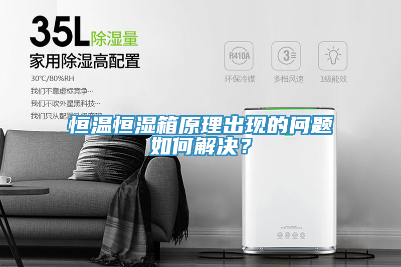 恒溫恒濕箱原理出現的問題如何解決？