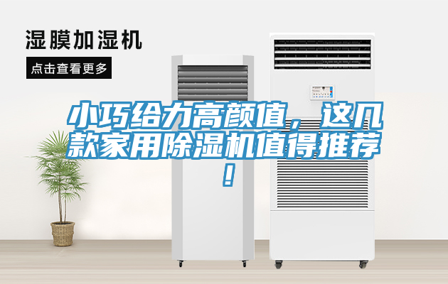 小巧給力高顏值，這幾款家用草莓视频污污污污值得推薦！