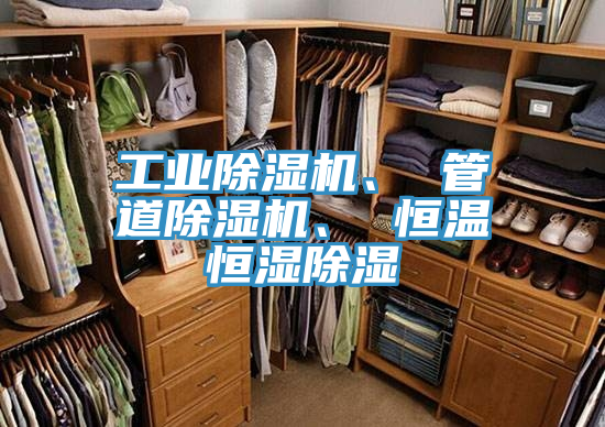 工業草莓视频污污污污、 管道草莓视频污污污污、 恒溫恒濕除濕