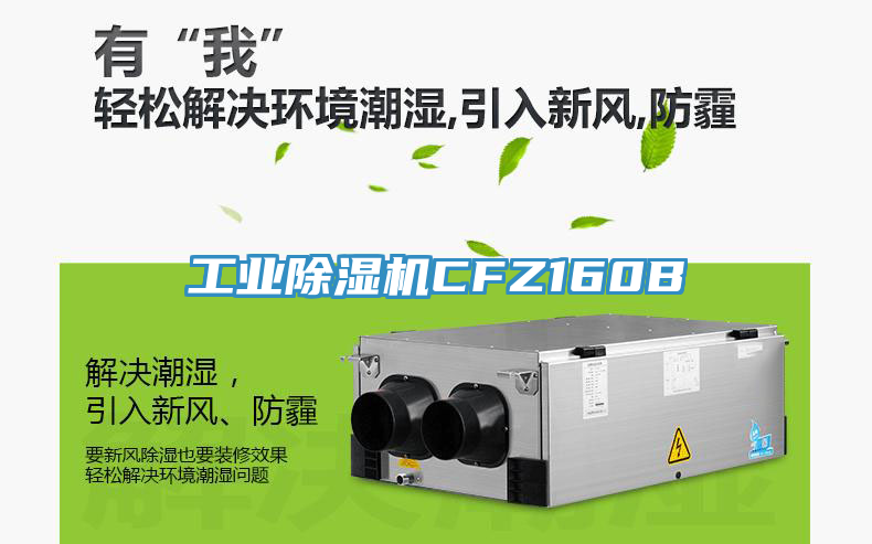 工業草莓视频污污污污CFZ160B