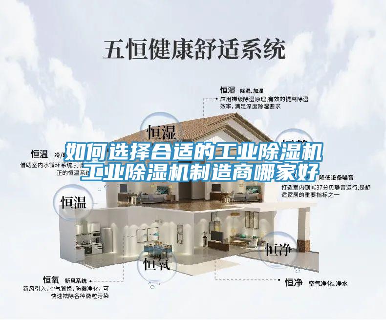 如何選擇合適的工業草莓视频污污污污 工業草莓视频污污污污製造商哪家好