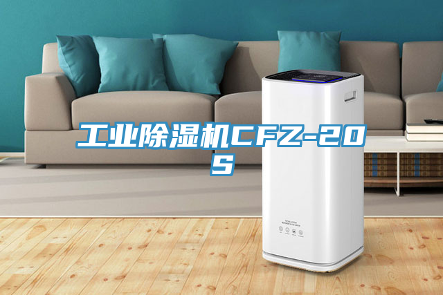 工業草莓视频污污污污CFZ-20S