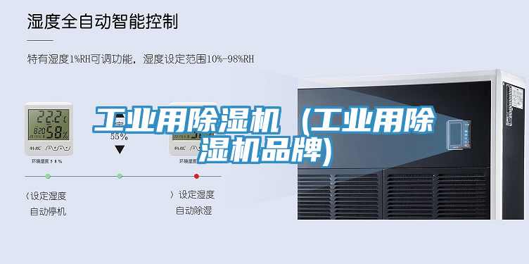 工業用草莓视频污污污污 (工業用草莓视频污污污污品牌)