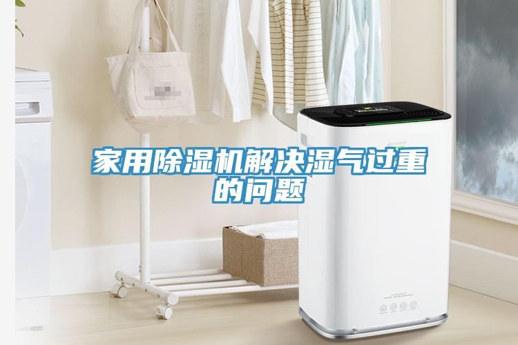 家用草莓视频污污污污解決濕氣過重的問題