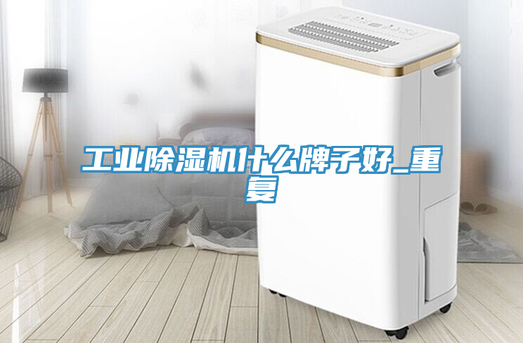 工業草莓视频污污污污什麽牌子好_重複
