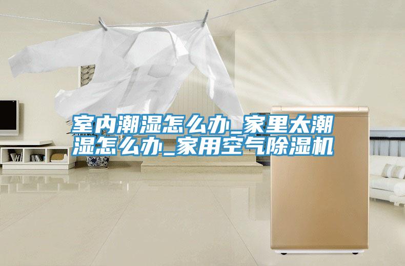室內潮濕怎麽辦_家裏太潮濕怎麽辦_家用空氣草莓视频污污污污