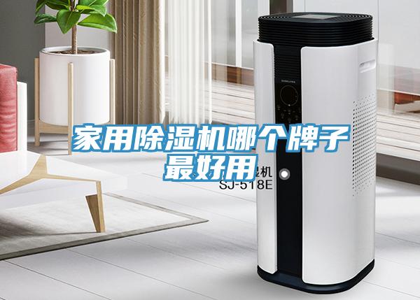 家用草莓视频污污污污哪個牌子最好用