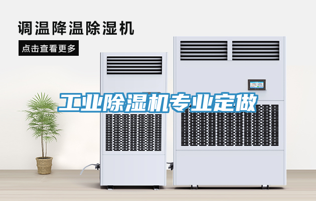 工業草莓视频污污污污專業定做