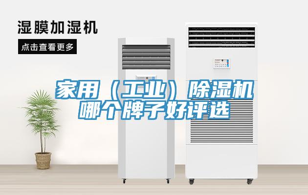 家用（工業）草莓视频污污污污哪個牌子好評選
