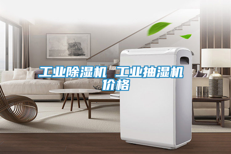 工業草莓视频污污污污 工業抽濕機 價格