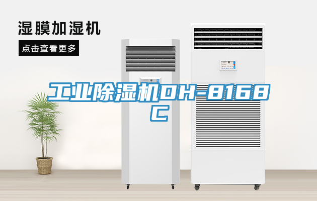 工業草莓视频污污污污DH-8168C