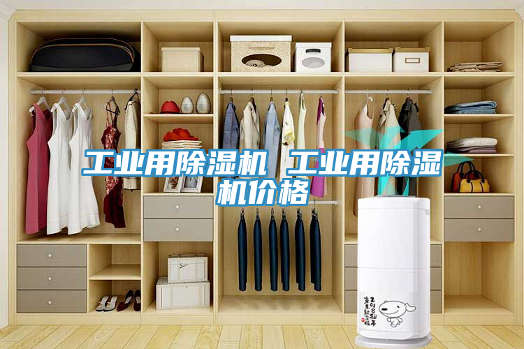 工業用草莓视频污污污污 工業用草莓视频污污污污價格