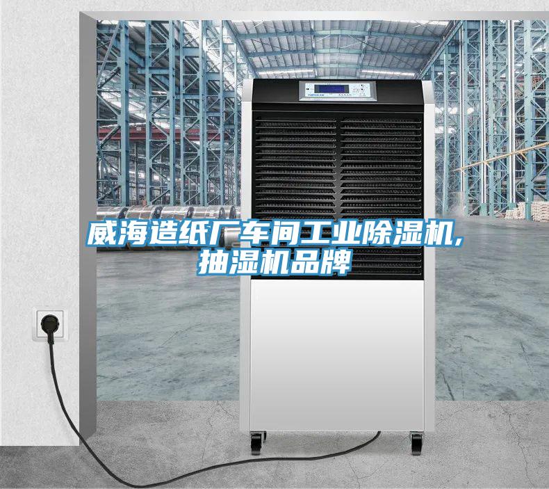 威海造紙廠車間工業草莓视频污污污污,抽濕機品牌