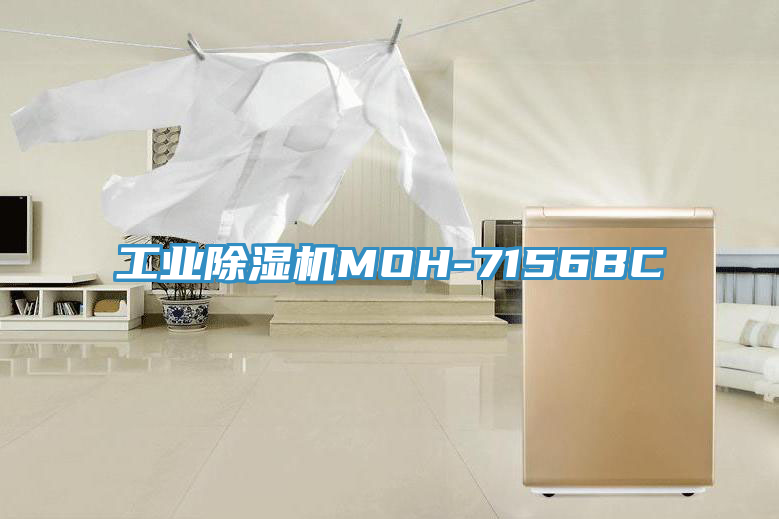 工業草莓视频污污污污MOH-7156BC