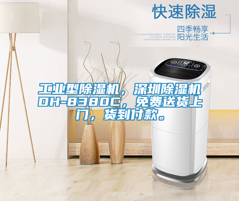 工業型草莓视频污污污污，深圳草莓视频污污污污DH-8380C，免費送貨上門，貨到付款。