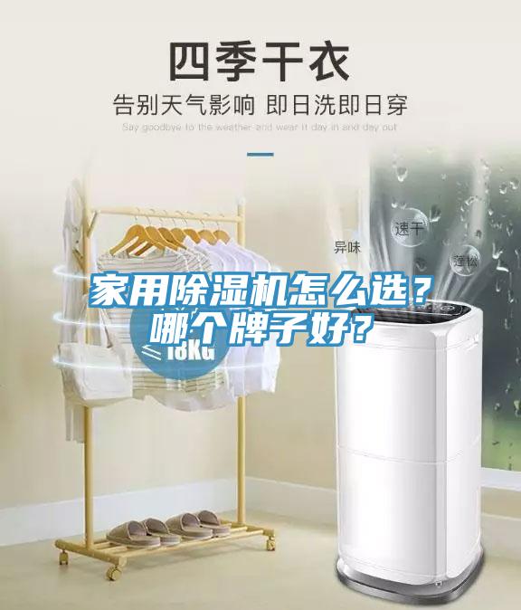 家用草莓视频污污污污怎麽選？哪個牌子好？