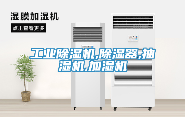 工業草莓视频污污污污,除濕器,抽濕機,加濕機