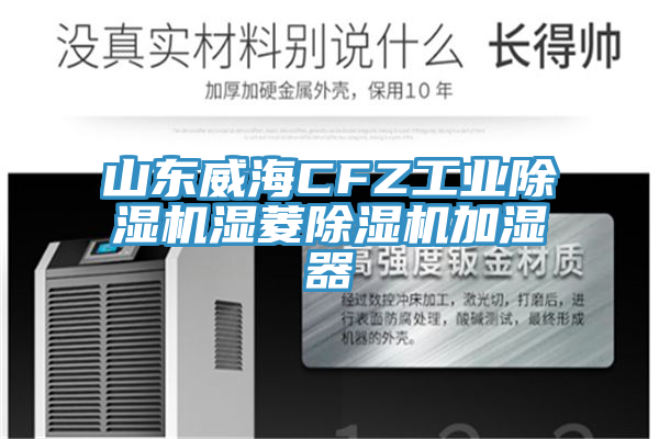 山東威海CFZ工業草莓视频污污污污濕菱草莓视频污污污污加濕器