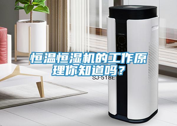 恒溫恒濕機的工作原理你知道嗎？