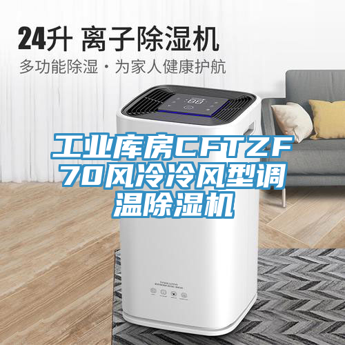 工業庫房CFTZF70風冷冷風型調溫草莓视频污污污污