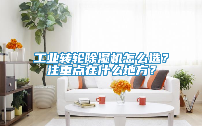 工業轉輪草莓视频污污污污怎麽選？注重點在什麽地方？