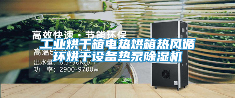 工業烘幹箱電熱烘箱熱風循環烘幹設備熱泵草莓视频污污污污