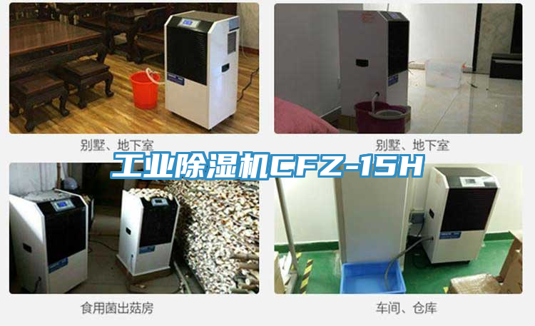 工業草莓视频污污污污CFZ-15H