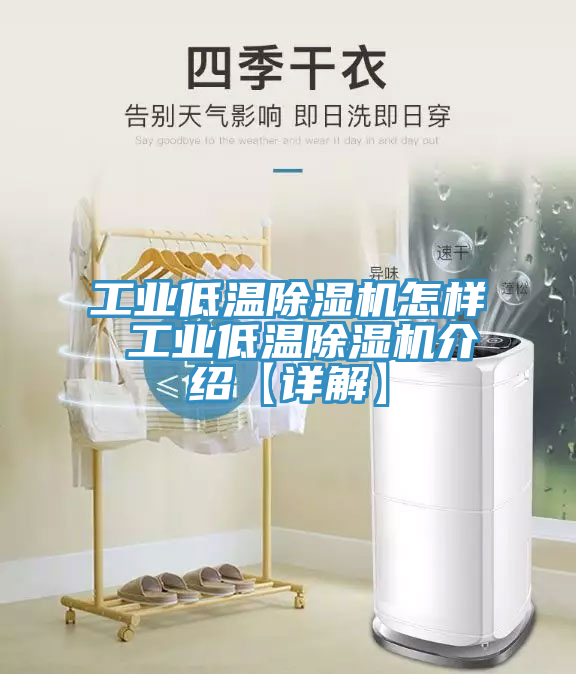 工業低溫草莓视频污污污污怎樣 工業低溫草莓视频污污污污介紹【詳解】