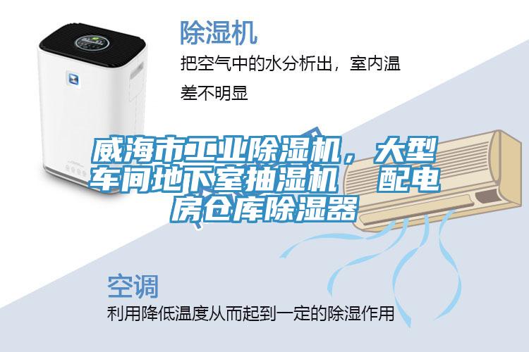 威海市工業草莓视频污污污污，大型車間地下室抽濕機  配電房倉庫除濕器