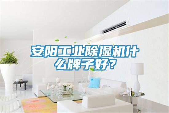 安陽工業草莓视频污污污污什麽牌子好？