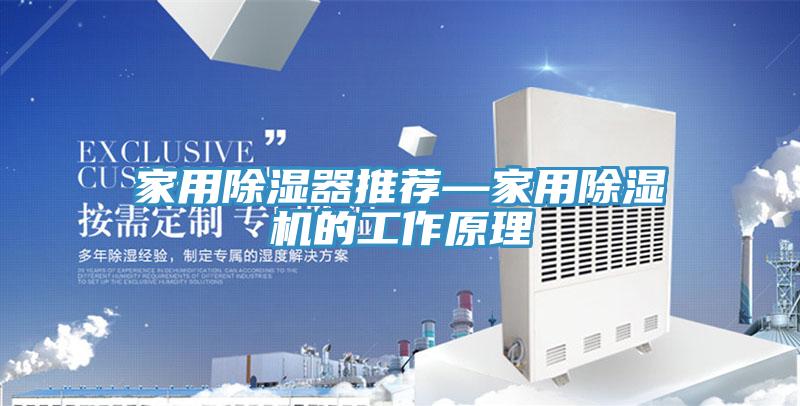 家用除濕器推薦—家用草莓视频污污污污的工作原理