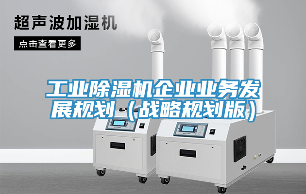 工業草莓视频污污污污企業業務發展規劃（戰略規劃版）