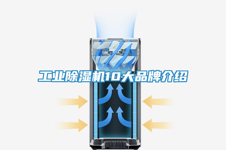 工業草莓视频污污污污10大品牌介紹