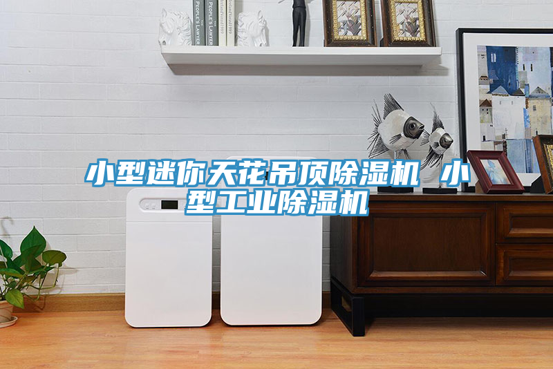 小型迷你天花吊頂草莓视频污污污污 小型工業草莓视频污污污污
