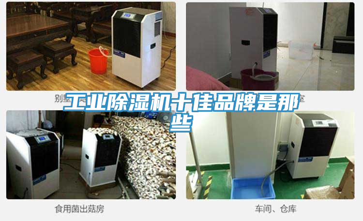 工業草莓视频污污污污十佳品牌是那些