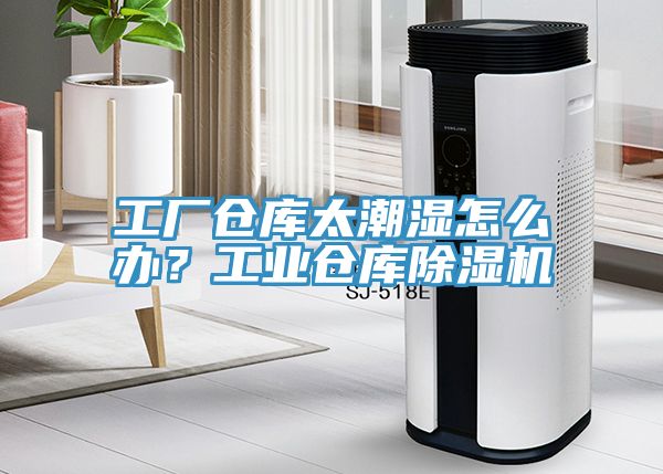 工廠倉庫太潮濕怎麽辦？工業倉庫草莓视频污污污污