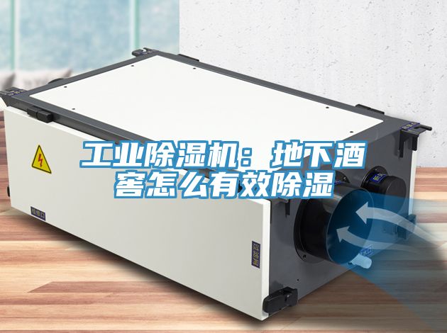 工業草莓视频污污污污：地下酒窖怎麽有效除濕