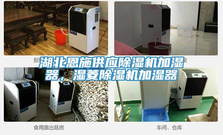湖北恩施供應草莓视频污污污污加濕器，濕菱草莓视频污污污污加濕器