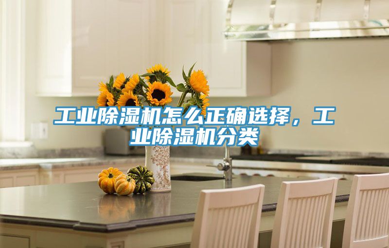 工業草莓视频污污污污怎麽正確選擇，工業草莓视频污污污污分類