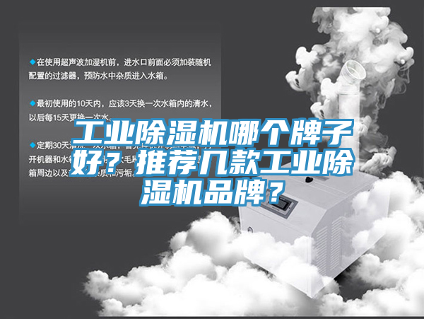 工業草莓视频污污污污哪個牌子好？推薦幾款工業草莓视频污污污污品牌？