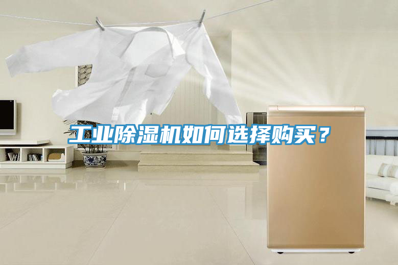 工業草莓视频污污污污如何選擇購買？