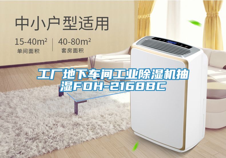 工廠地下車間工業草莓视频污污污污抽濕FDH-2168BC