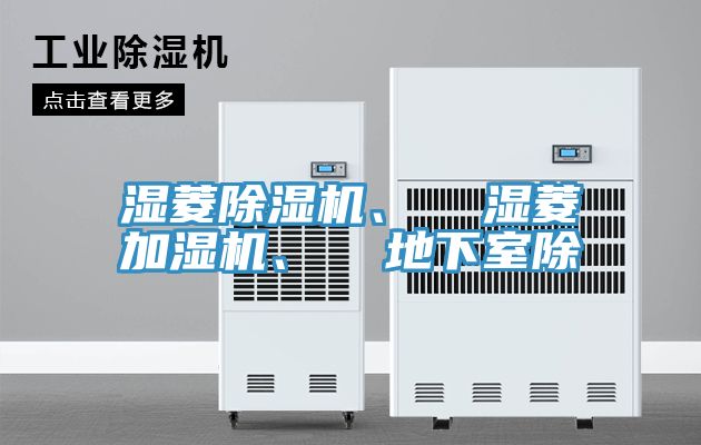 濕菱草莓视频污污污污、  濕菱加濕機、  地下室除