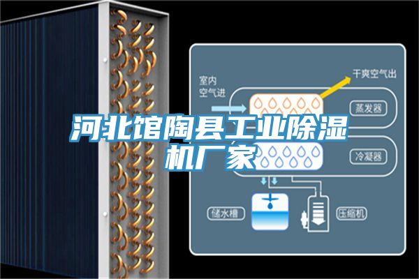河北館陶縣工業草莓视频污污污污廠家