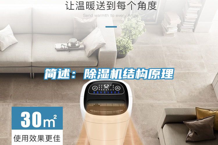 簡述：草莓视频污污污污結構原理