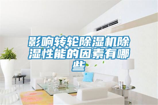影響轉輪草莓视频污污污污除濕性能的因素有哪些